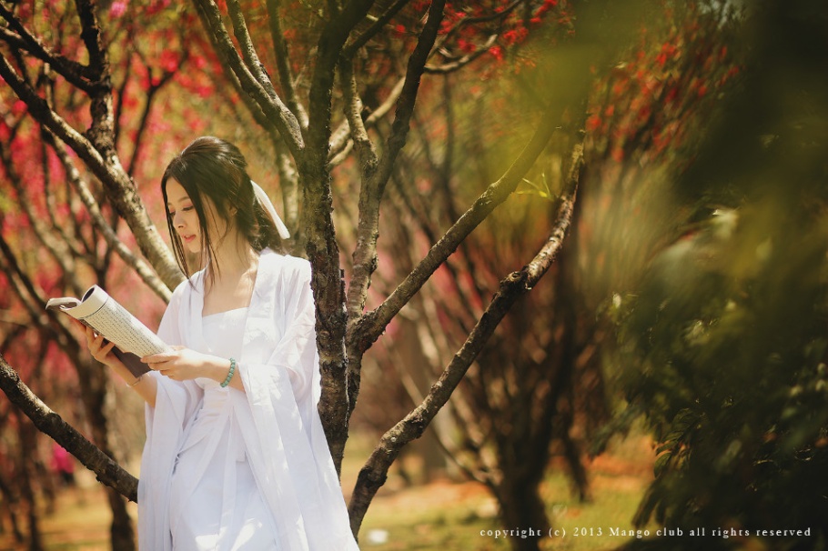 古装清纯美女桃花园唯美写真照片(第12页)