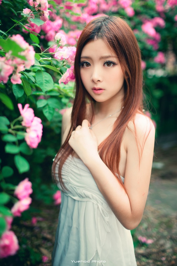 童颜美女蔷薇花园唯美写真照片(第11页)