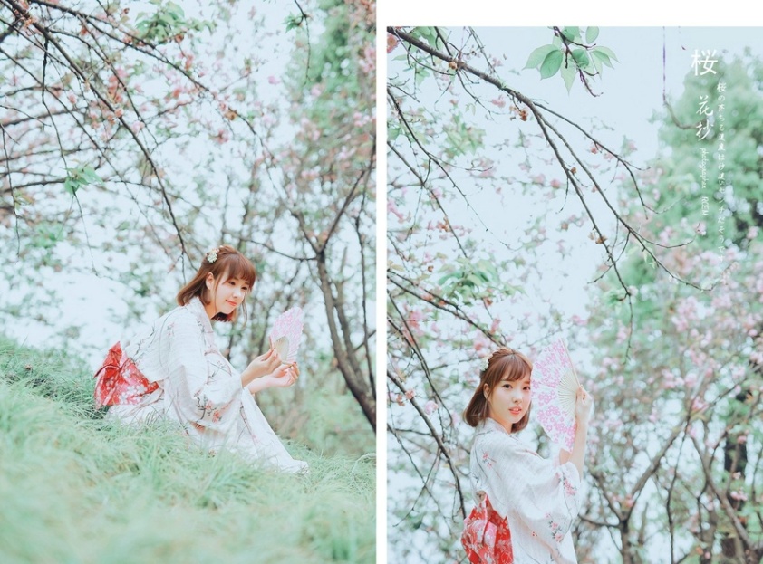 日本和服清纯粉嫩美女樱花之恋写真图片(第5页)