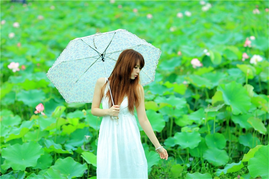 台湾清纯美女小静荷花池唯美写真照片(第6页)