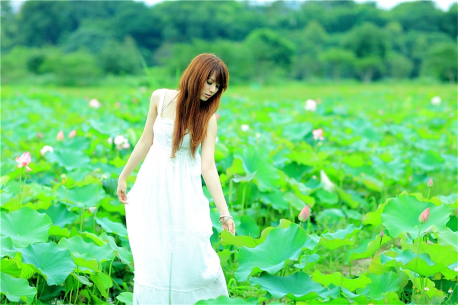 台湾清纯美女小静荷花池唯美写真照片(第16页)