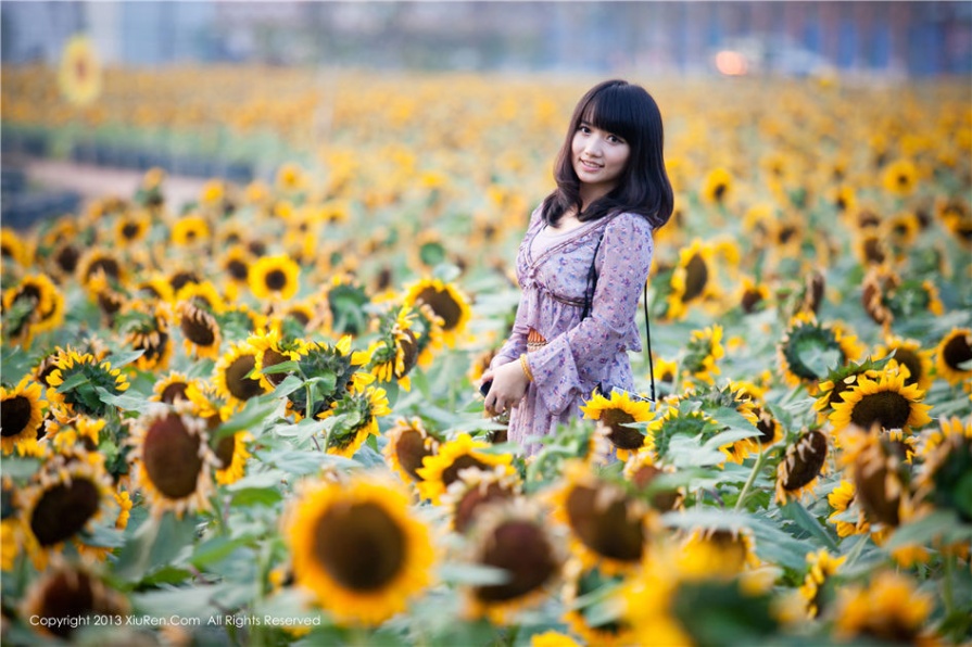 清纯美女默漠无荢向日葵田唯美写真图片(第59页)