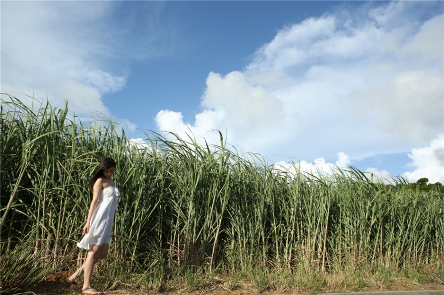 日本学生妹植村あかり户外白嫩乳沟诱惑写真图片(第95页)