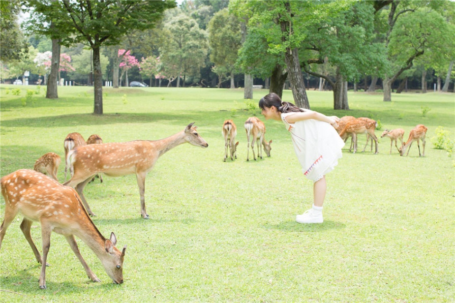 清纯学生妹鞘師里保户外比基尼写真照片(第58页)