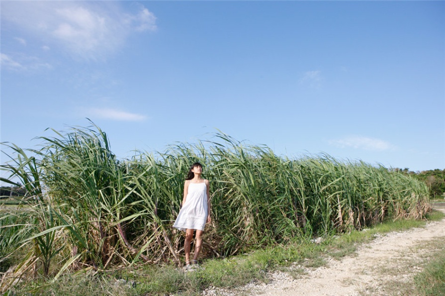 清纯美女和田彩花旅拍唯美写真照片(第20页)