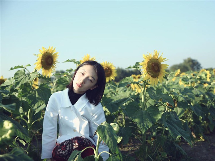 周冬雨向日葵花海夏日写真图片(第6页)