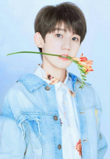 王源单独叼花图片