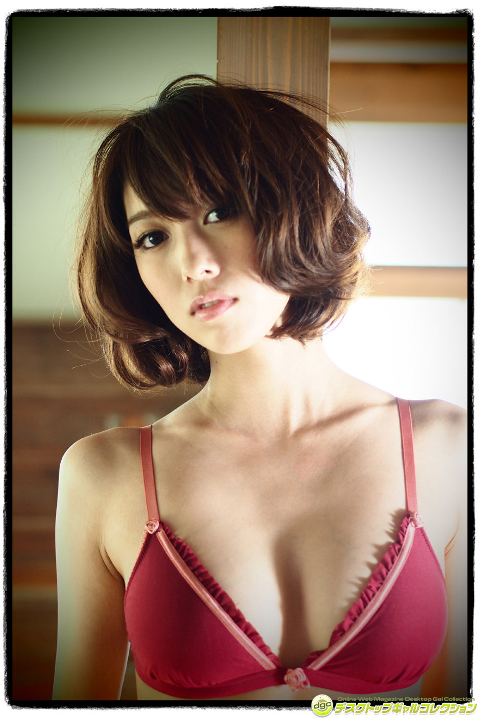 [DGC]美女秦瑞穂No.1224套图(第33页)