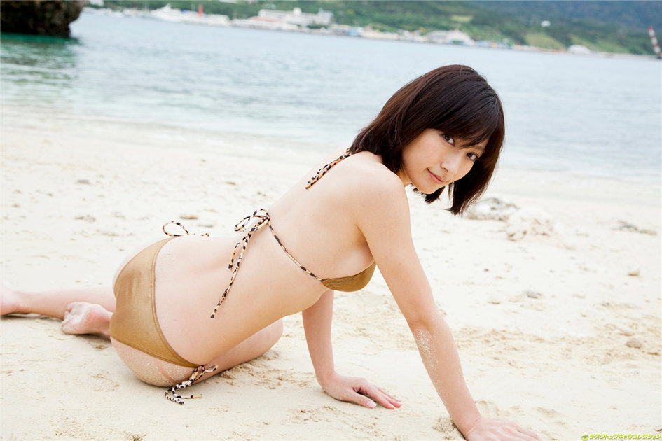 [DGC]熊田曜子No.1163套图超市(第55页)