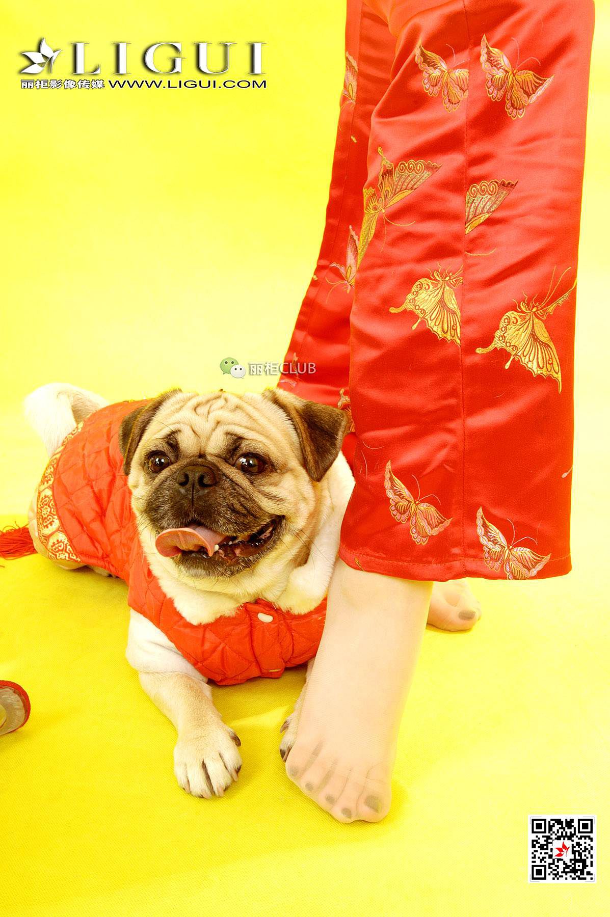 璐璐《新春丝足》 [丽柜LIGUI] 网络丽人 写真集(第27页)