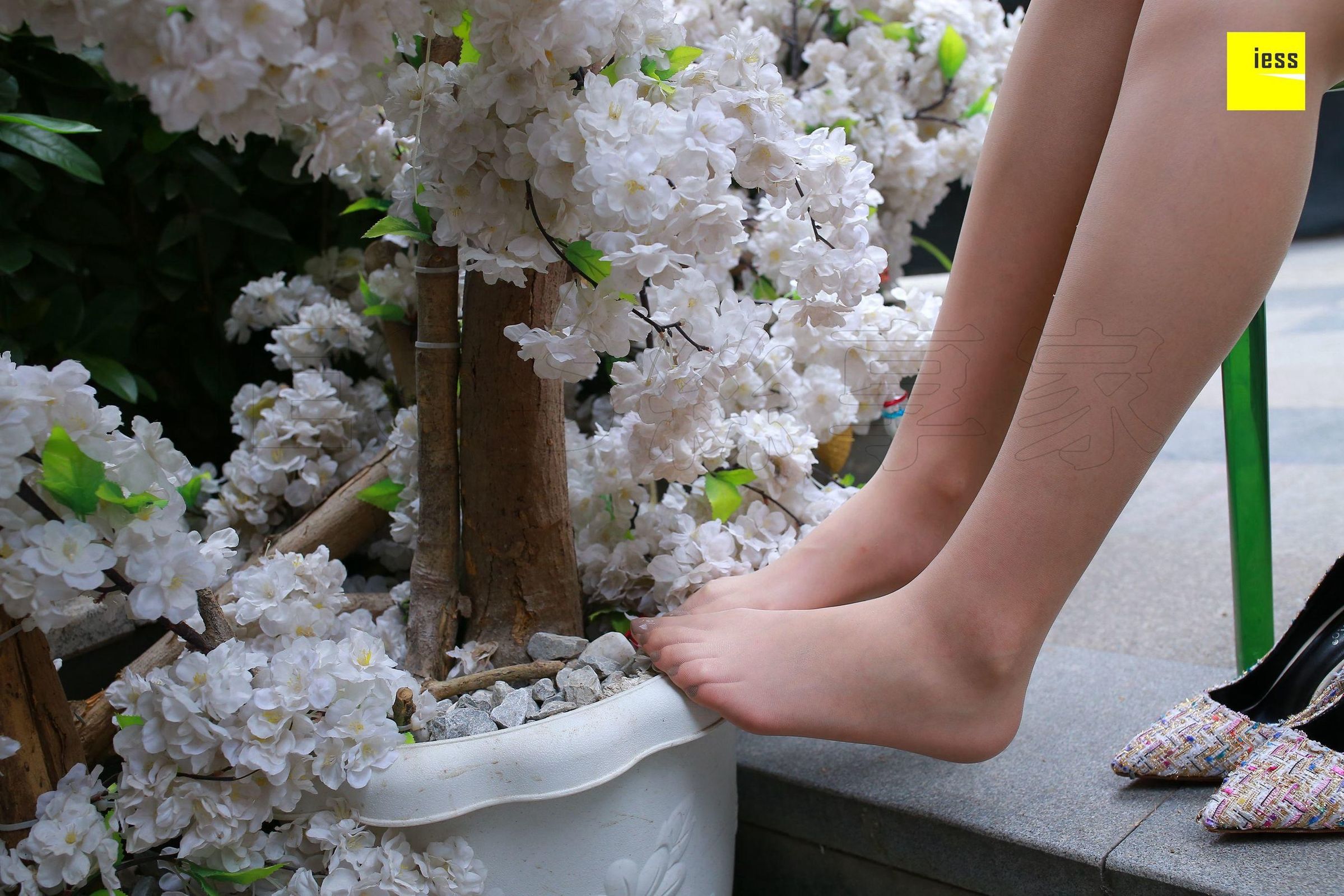 [IESS异思趣向] 丝享家235 紫紫 《肤白貌美嫩脚趾》 丝足写真套图[99](第67页)