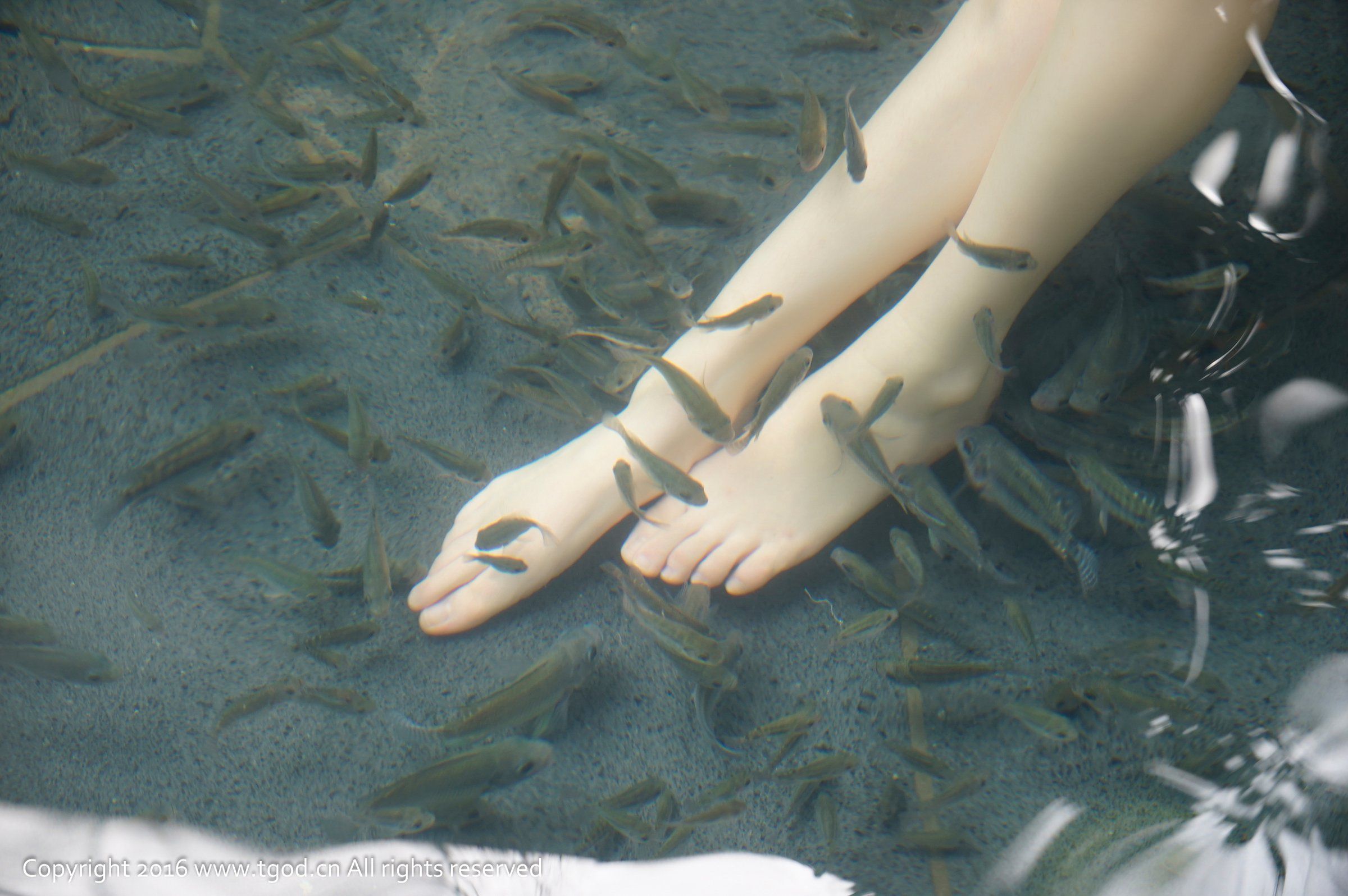 [TGOD推女神] 《御水温泉旅拍》 邓雪Sweet 第二刊 写真套图[52](第20页)