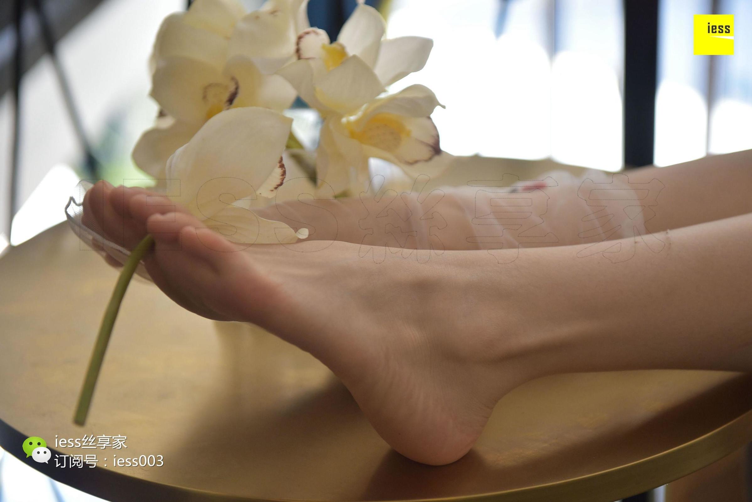 [IESS异思趣向] 丝享家050 佳佳 《佳佳佳爷》 丝足写真[99](第61页)