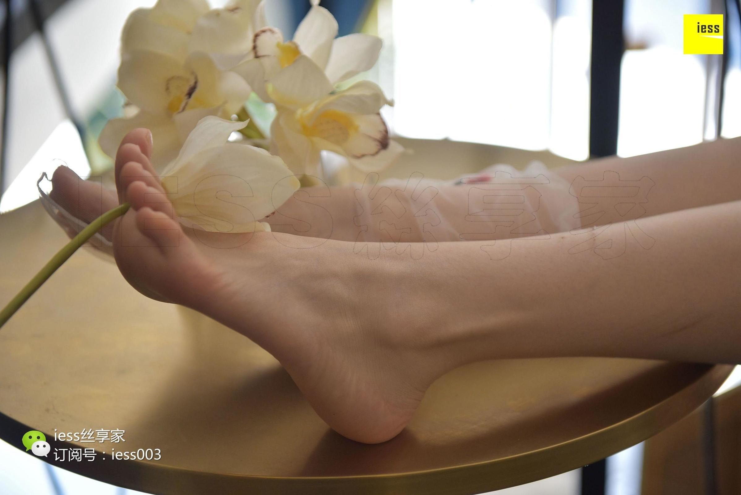 [IESS异思趣向] 丝享家050 佳佳 《佳佳佳爷》 丝足写真[99](第62页)