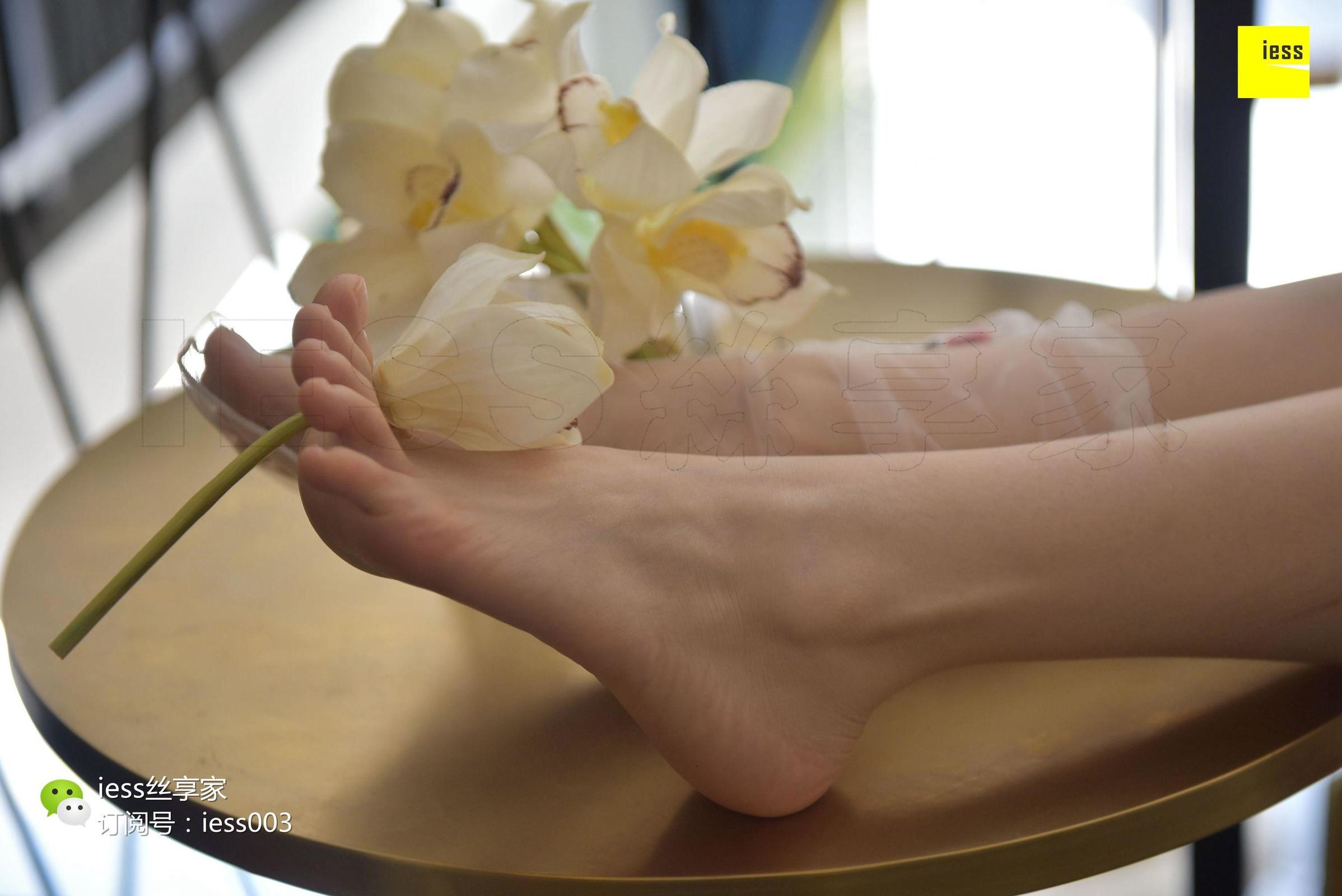 [IESS异思趣向] 丝享家050 佳佳 《佳佳佳爷》 丝足写真[99](第63页)