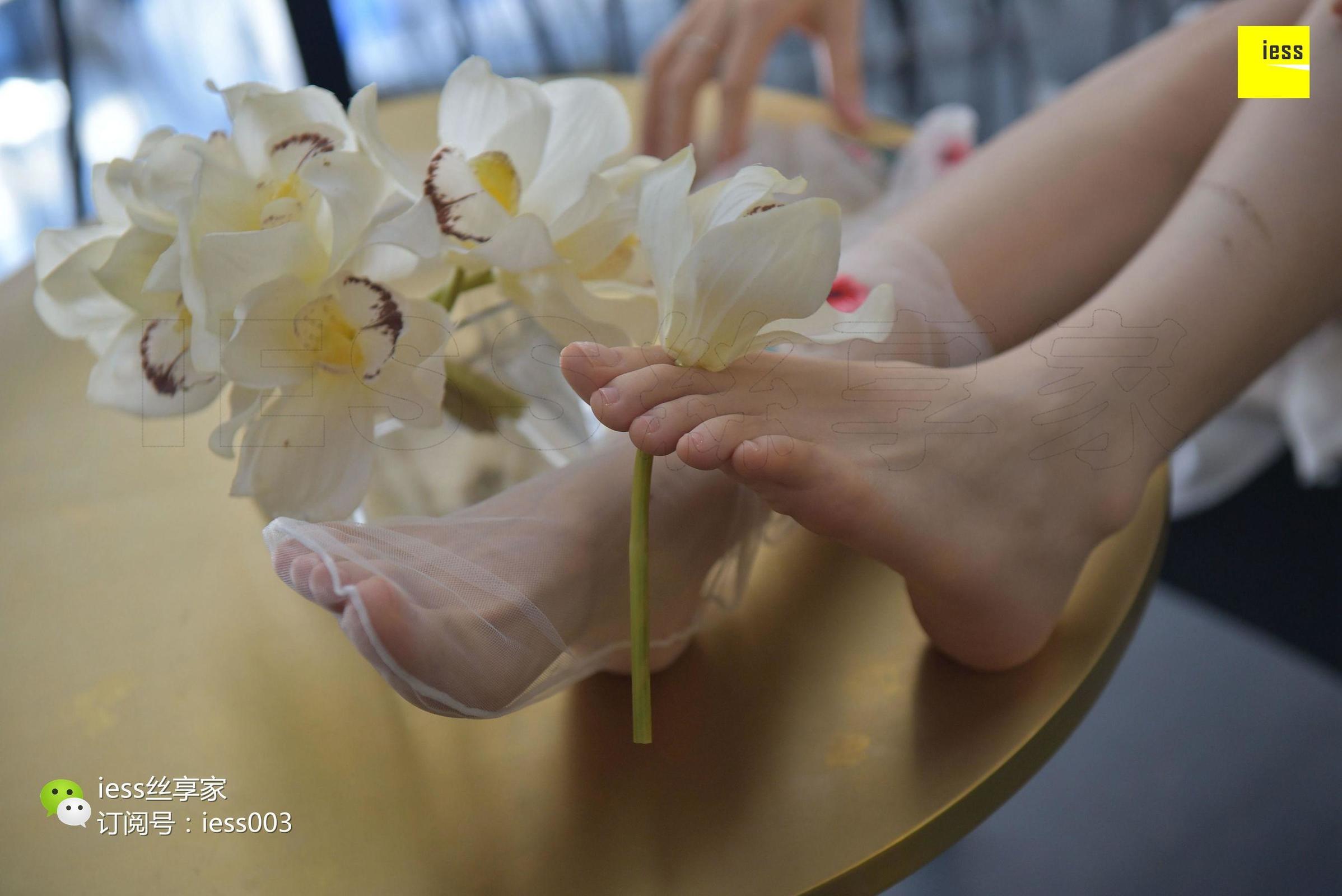 [IESS异思趣向] 丝享家050 佳佳 《佳佳佳爷》 丝足写真[99](第86页)