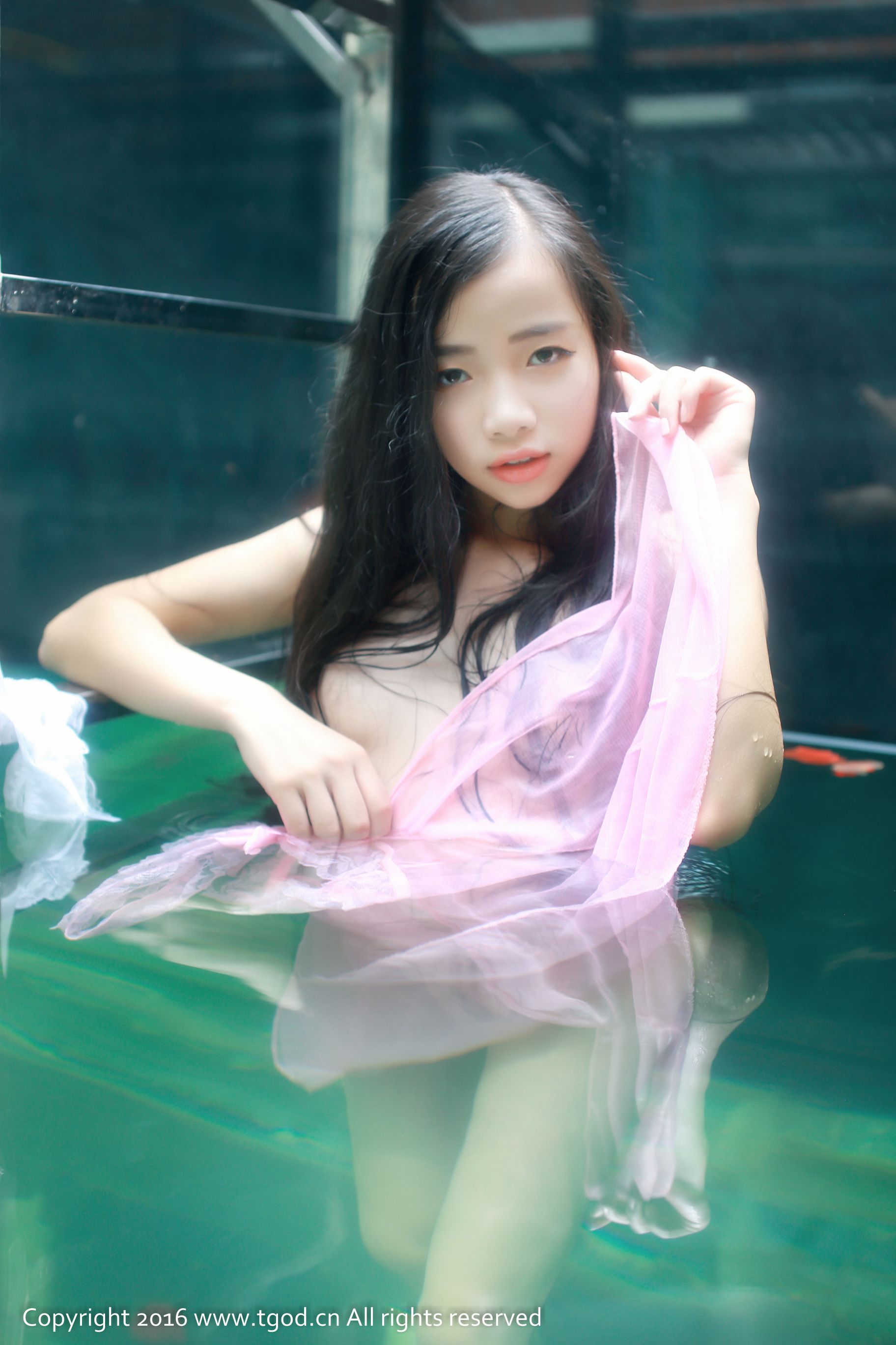 [TGOD推女神] 蔻蔻 - 女仆翘臀 小清新[52](第52页)