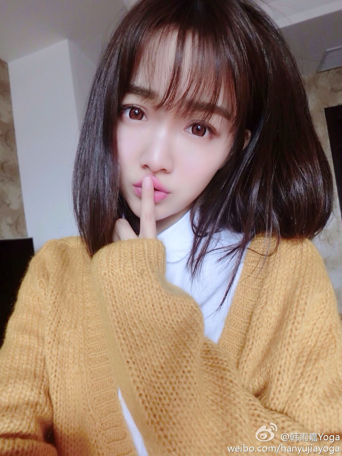 [网络红人] 韩雨嘉 - 超高清微博自拍照+写真图片(十)[101](第74页)