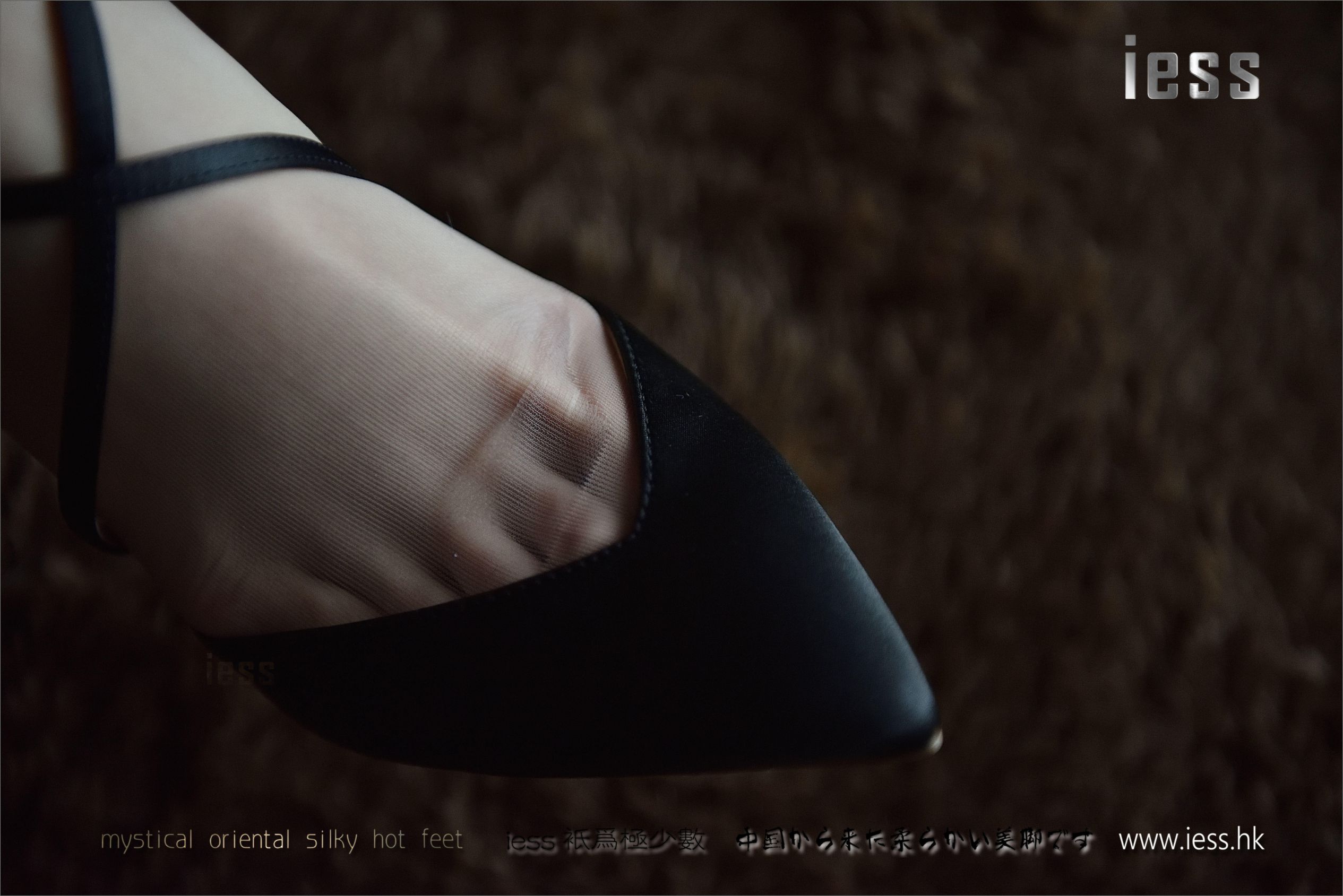 [IESS异思趣向] 丝足便当085期 公子《公子与她的丝袜实验室》[99](第53页)