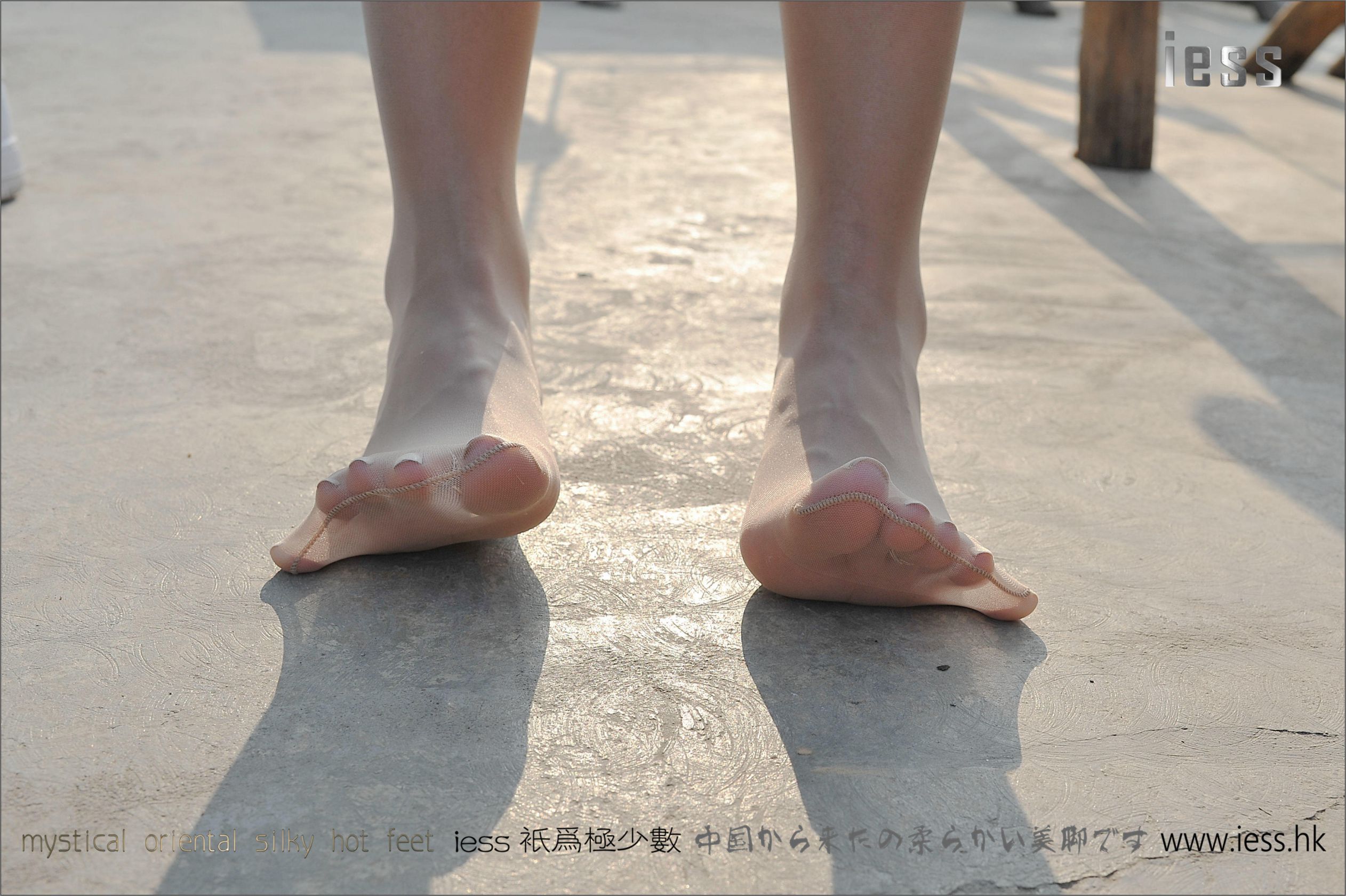 [IESS异思趣向] 丝足便当037期 SASA《SASA球鞋肉丝典藏版》[99](第89页)