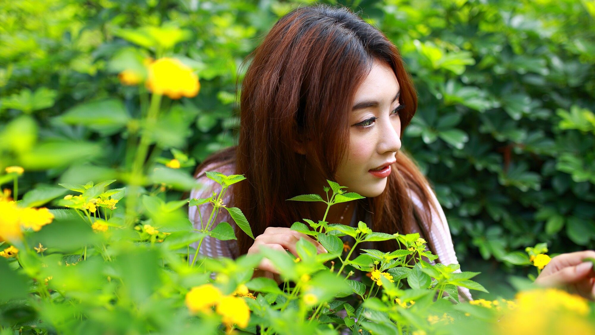 [台湾美女] Miso夏晴 - 清新街拍 写真图片[82](第47页)