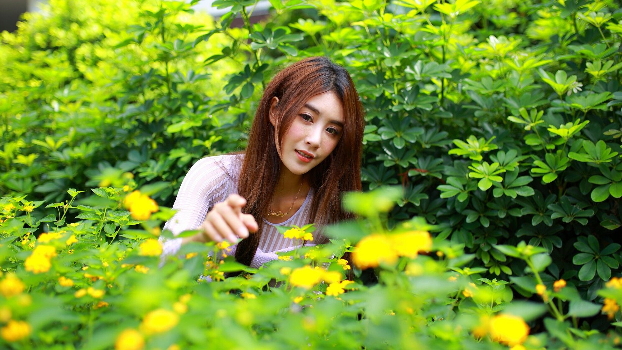 [台湾美女] Miso夏晴 - 清新街拍 写真图片[82](第52页)