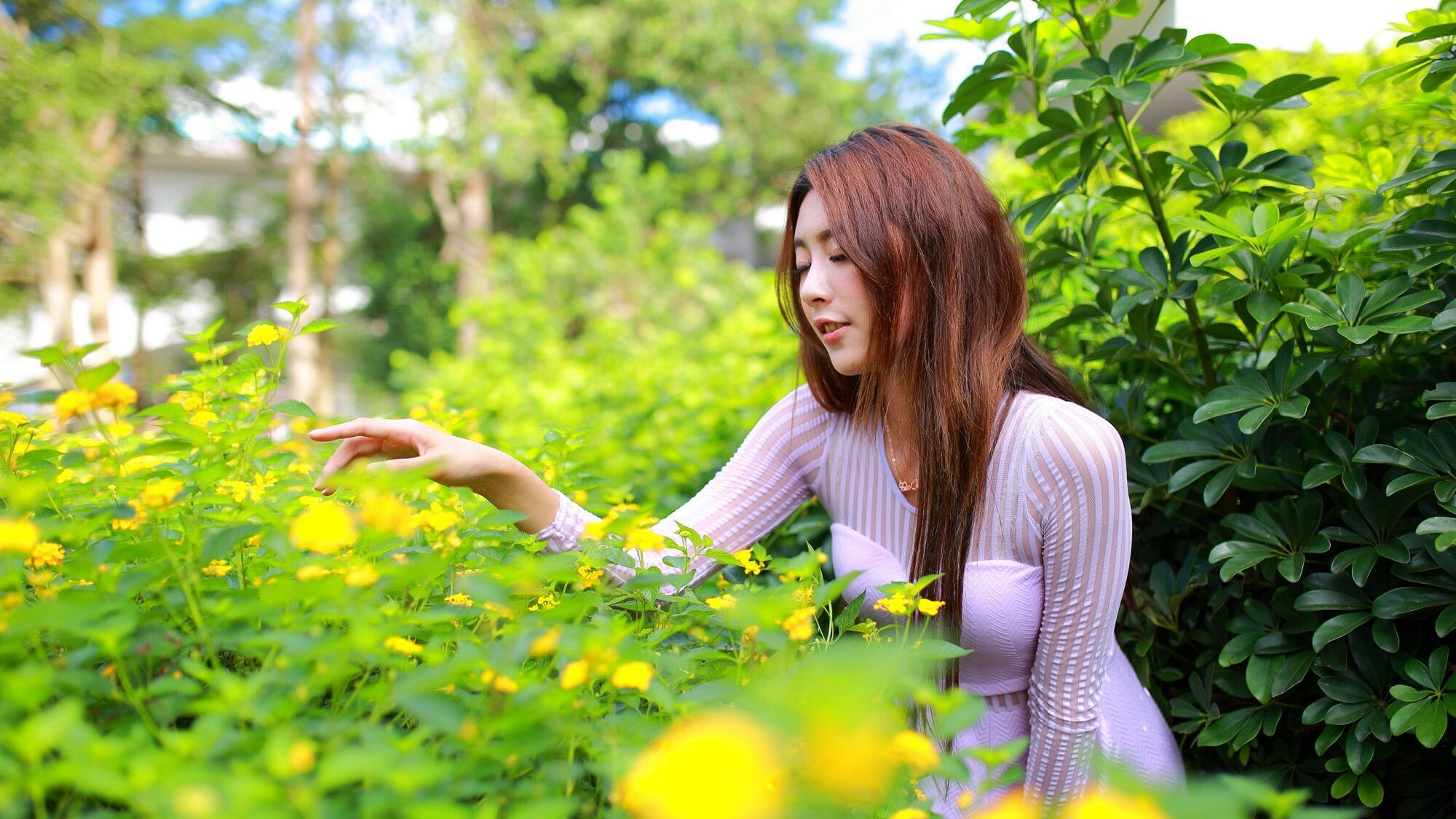 [台湾美女] Miso夏晴 - 清新街拍 写真图片[82](第53页)
