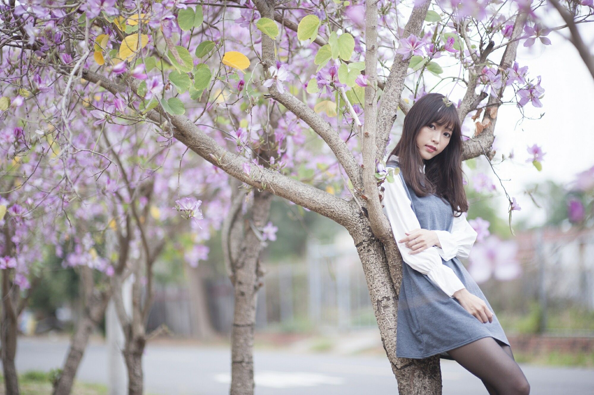 [台湾美女] 彭丽嘉(Lady憶憶) - 樱花下的黑丝 写真套图[33](第24页)
