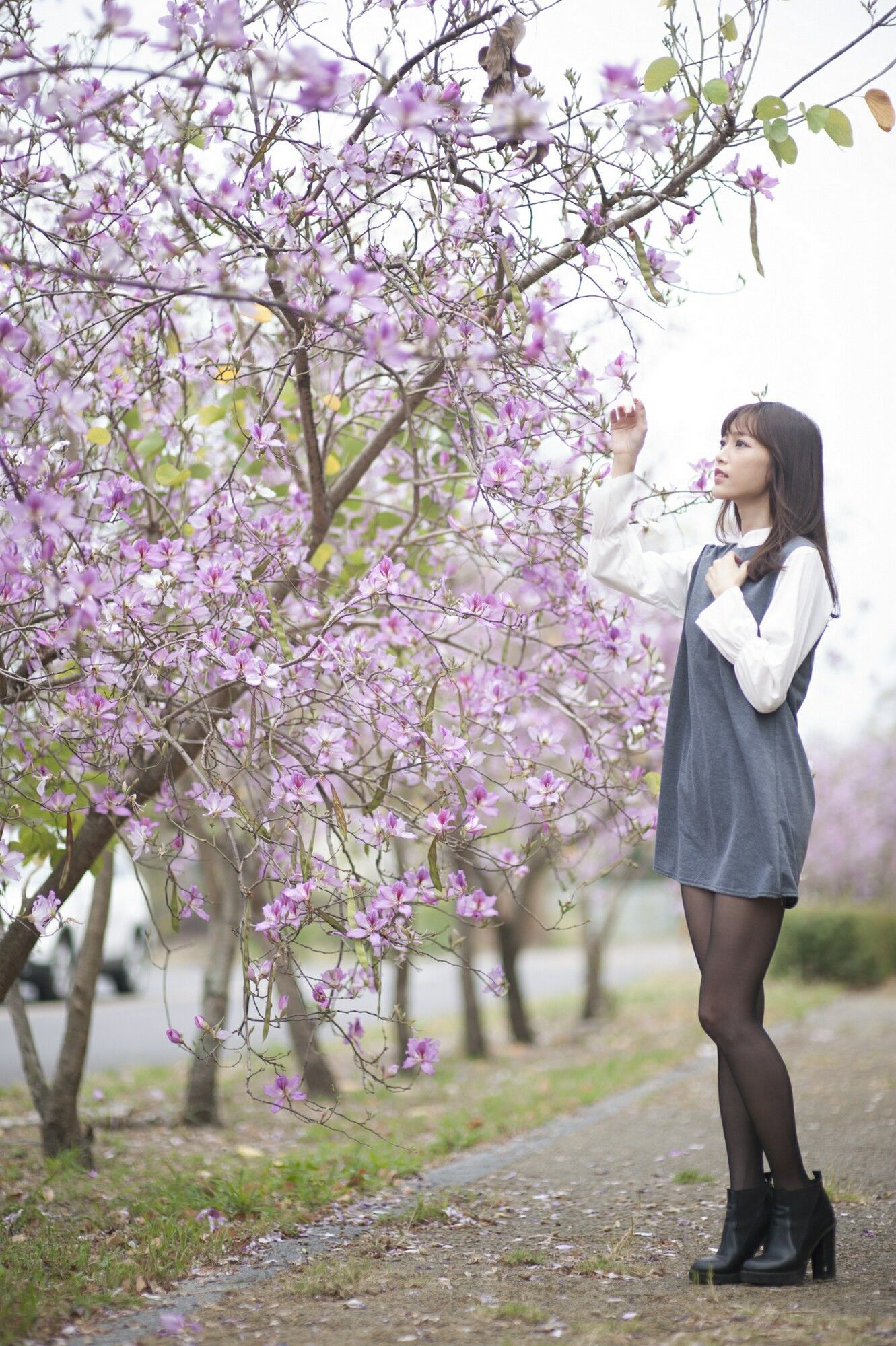 [台湾美女] 彭丽嘉(Lady憶憶) - 樱花下的黑丝 写真套图[33](第28页)