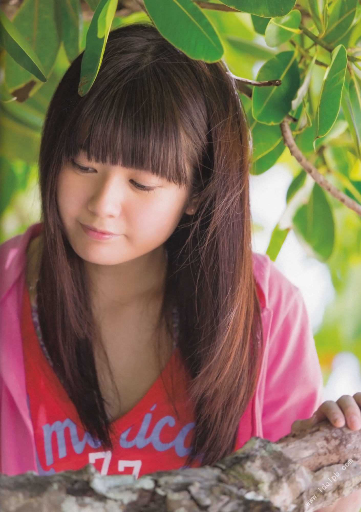 日本美女竹達彩奈 「たけたChu in オーストラリア」 写真集[107](第80页)
