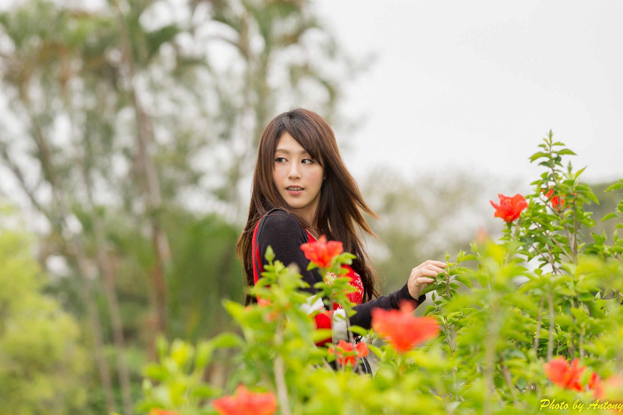 [台湾美女] 夏晴Miso - 台大外拍 写真图片[80](第40页)