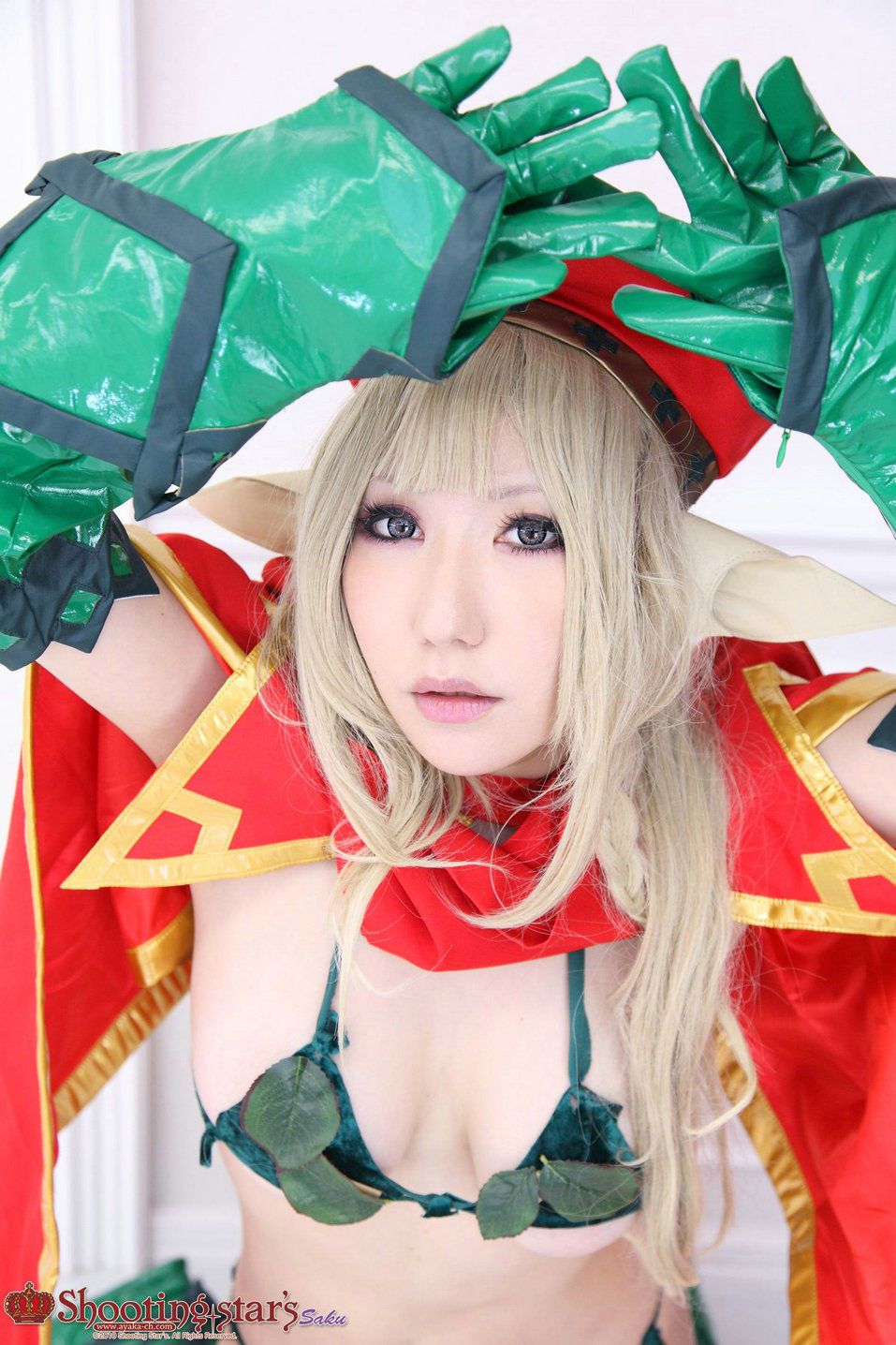 [日本COSER] 绫香(Saku サク) 《クイーンズブレイドQueen's Blade》アイリ & Alley(第63页)