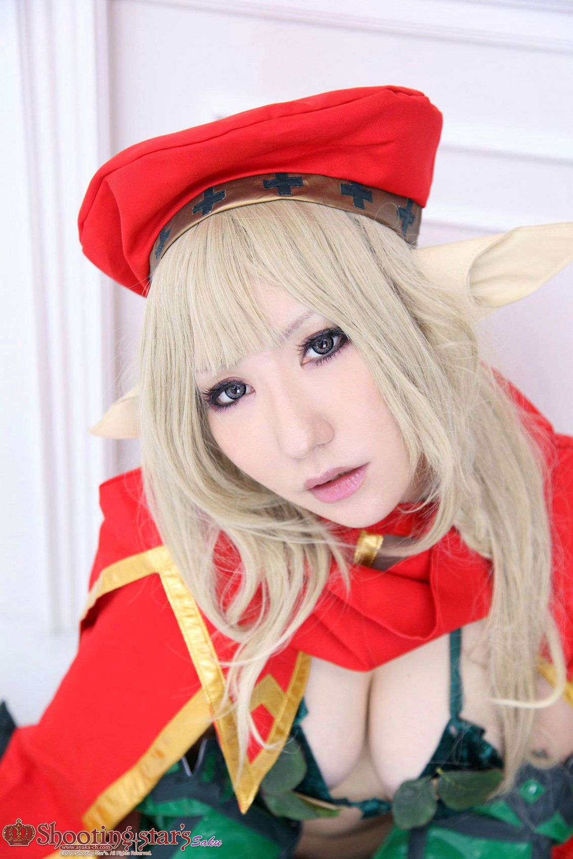 [日本COSER] 绫香(Saku サク) 《クイーンズブレイドQueen's Blade》アイリ & Alley(第64页)