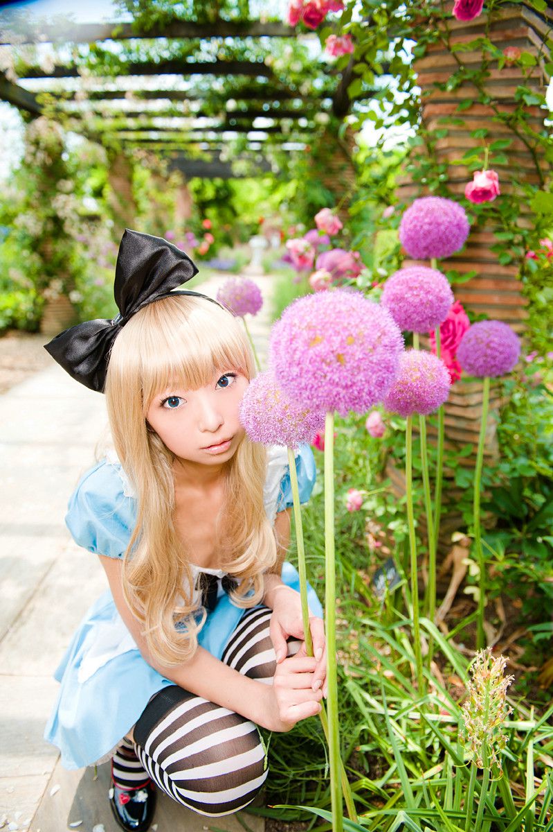 [日本COSER] ねここ - 《爱丽丝梦游仙境》5Set[90](第23页)