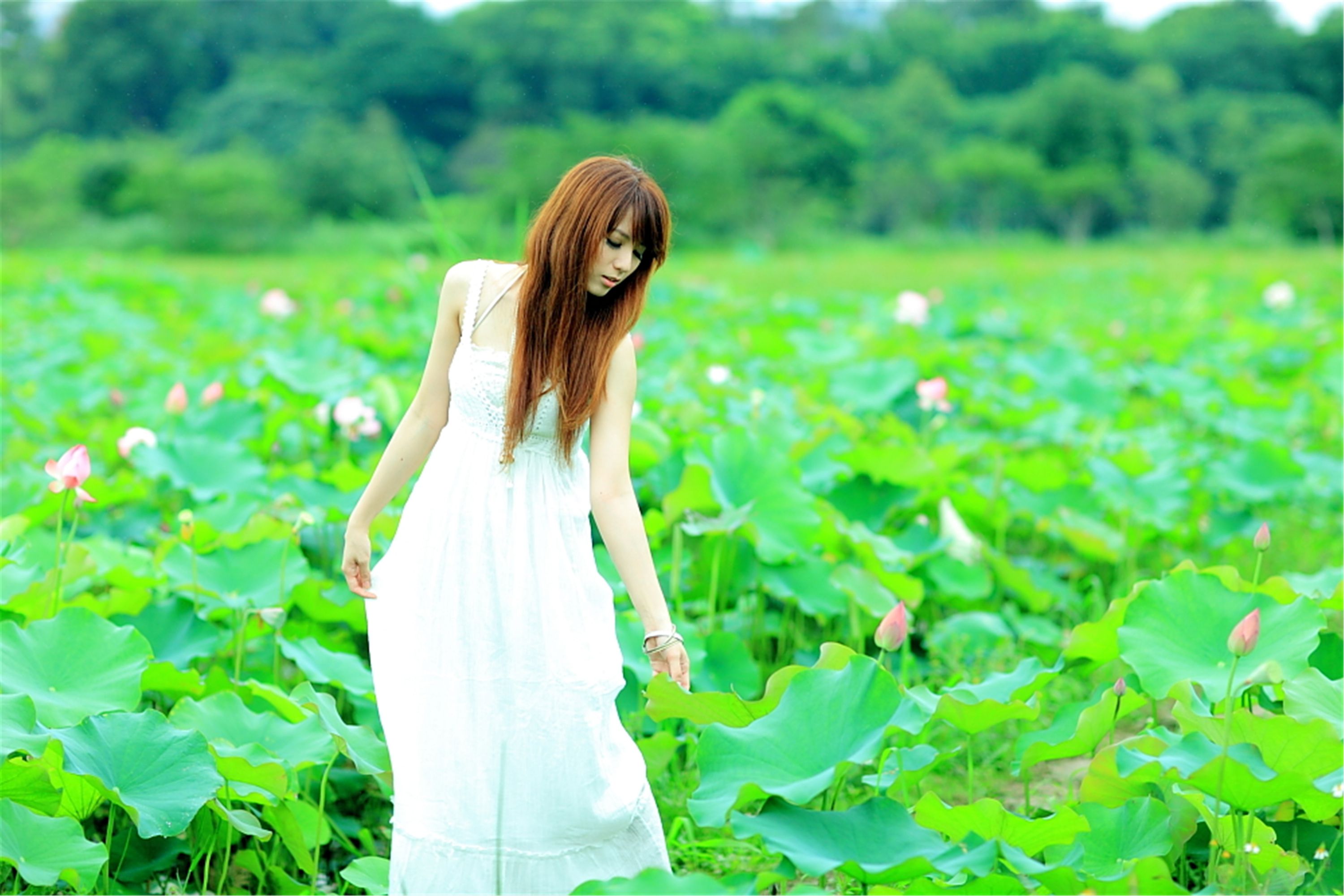 [台湾美女] 小静 - 农场初夏田园风光写真套图[171](第107页)