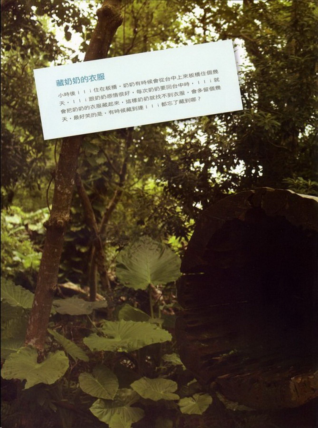 鸡排妹郑佳甄/郑佳纯 - 《十八岁的礼物》写真集[177](第137页)